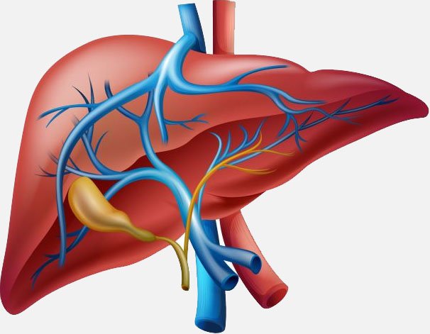 Chronic liver disease (CLD) and Covid